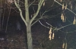 be3545ce-00e7-49ad-8188-ca3c556cf026