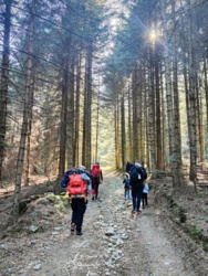 45f88470-3f60-45a6-ae39-f5de73ea45a5