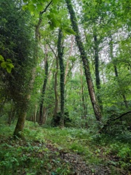 8e2cc20e-7357-44d0-b77c-3c816162b18f