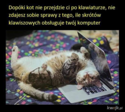 59159a14-cc74-47dd-98eb-83738a6db8d9