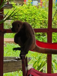 82ca74dc-821b-4f99-82e0-cd72d953baee