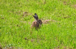 255672ce-be98-4035-ba4a-e3ef90e0f496