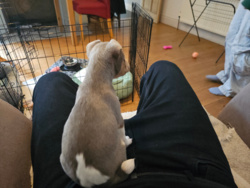 de64a6ae-e291-41d0-a342-460bff293d45