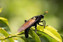 c379ef97-d14b-4d10-ac4b-7762f3f770a3