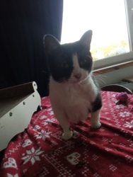 7ac5ebb0-e31f-4633-8436-091981a9abaf