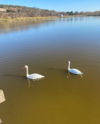 05d8e7f6-1e37-41b9-ad72-37746f0f9bef