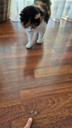 21e62243-f225-4d42-94a0-1aa9208542db