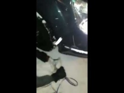 Laski zakładają łancuchy :)