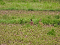 15087db0-1df5-4f77-9ee7-a996d151aa40