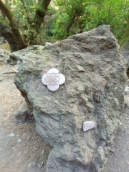 04d4a208-6ca7-450c-8a77-5f1782c7340c