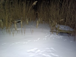 c429bb5d-635c-489c-8477-a9ee335f127b