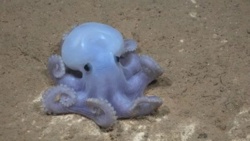 f33b4e52-b180-49ca-b8e0-6aa34aff3c06