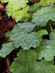 d6347a24-ee87-47ab-b779-de0a7aab2eaa