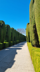 a9c188fc-d181-43cd-9b06-a500e9f4331e