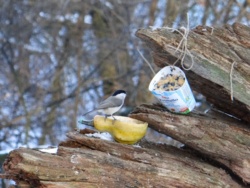 864165ee-dbe1-4d64-839a-a71bbeb7c10e