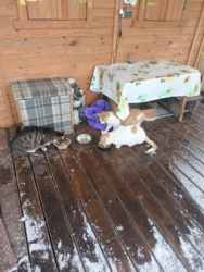 2597e8cc-358f-42cc-99b1-54a22daaf18a