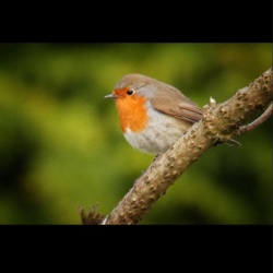 1054b56d-3b80-49f6-8881-fc95ddfb4945