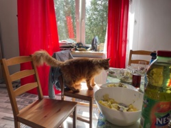 6618e227-3194-42c9-b016-6f7a12a7b1e9