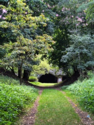 b056ec00-cad3-4505-9d9b-7de78d02fffd