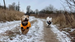 d08eb4e1-225e-41e0-8eba-8a025e120241