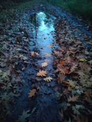 d7790820-5ae8-4f3e-8208-339692bbe809