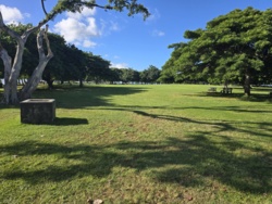 660c01bf-081f-44fd-8ba6-e51d5819def6