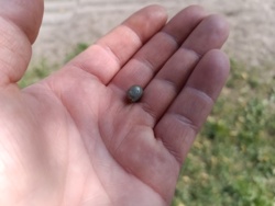 fe3db013-b0eb-4e2c-b5f2-f31fd386d443