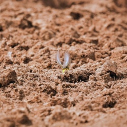 e72c8635-af60-4fc9-a4ad-aef9bbf90723