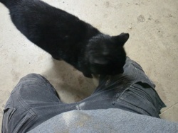 598b5846-1b72-4f2b-a1c2-d40900d31b20