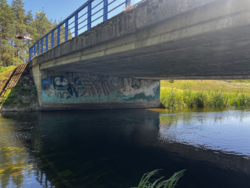 d5497c3a-0222-4314-a41a-3cf4ad53b3c4