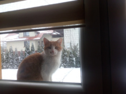 ad9eea49-bff0-4dc2-ba89-1298493d0740