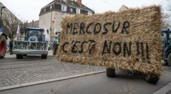 Umowa UE-Mercosur. Bruksela proponuje rozwiązanie chroniące rolników