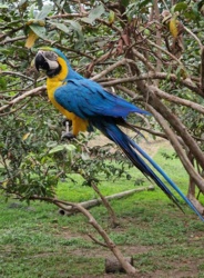 cf29c46a-fb4e-456a-a618-2bfe3ba712c7