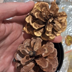 733e24be-6d47-459e-b4f5-dced13938b8c