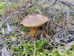 5e546932-5cef-4e87-a291-cb14d2b1916b