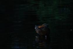 f7f1fe22-b571-47cd-bd15-6af8e5b95b20