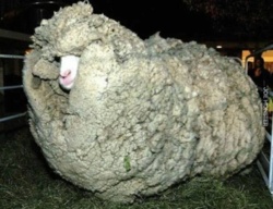 5ea482c5-7669-4551-9699-e322f1dbba84