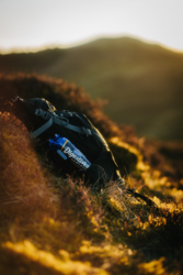 d4a59f60-ed75-47de-b586-42eb4dc330e4