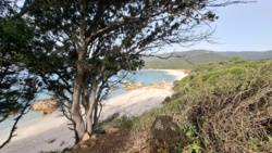 edf99d4a-5fe9-4234-8ebf-52f0e8667e41