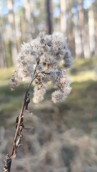 51a08f17-493f-454e-8471-f9c117b26783