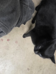 c48228bf-6b7e-4735-a251-894c82611998