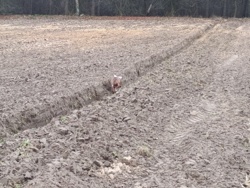 efc827ca-da19-432a-83b3-739182cb1163