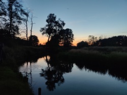 4aa8b25c-9ef6-47a6-b81d-bb0d40473388