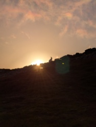 1130f88b-c24c-4708-ad3c-ff89dcdafd6a