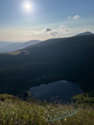 f41e2cb5-990d-4fca-b799-ae0af4d3582d