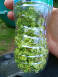 bf9ad98c-92b3-4ceb-8cea-c6c7682f2f93