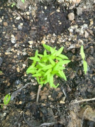 9704c149-a157-42e7-b956-61e4dce334f5