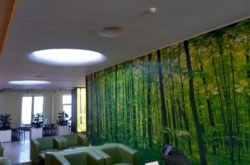 95643b02-0437-47e6-8703-552847d67cf1