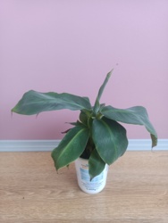 0f342fca-5df7-46ec-bee5-af721b0db273