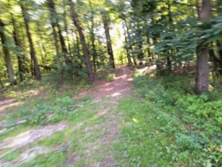 1ef0d545-e64f-4e90-81a7-871658c7bc83